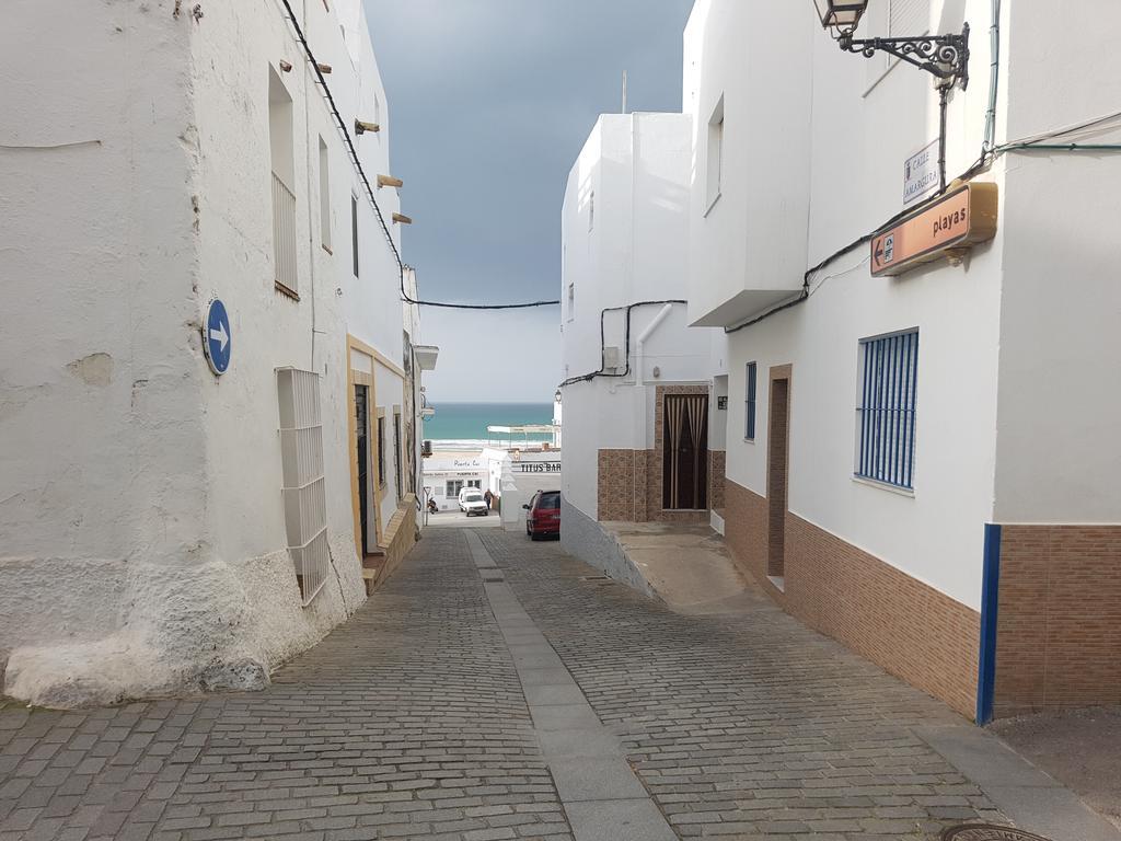 Casa Salmonete 8 Daire Conil De La Frontera Dış mekan fotoğraf